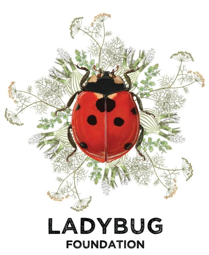 Ladybug Foundation.JPG