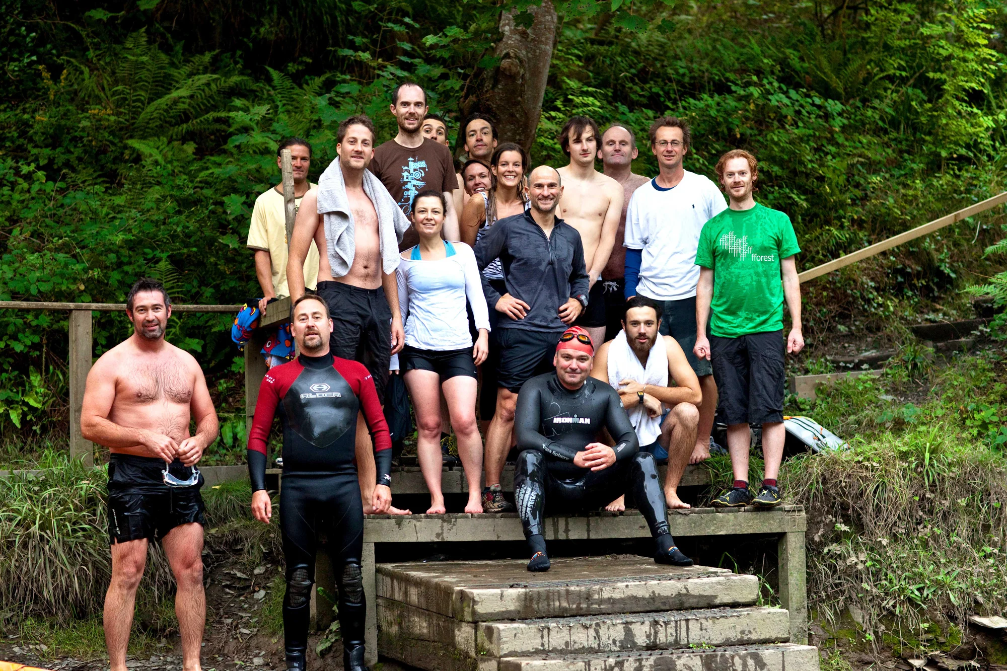 Fforest-208 enh fforest teelow.jpg