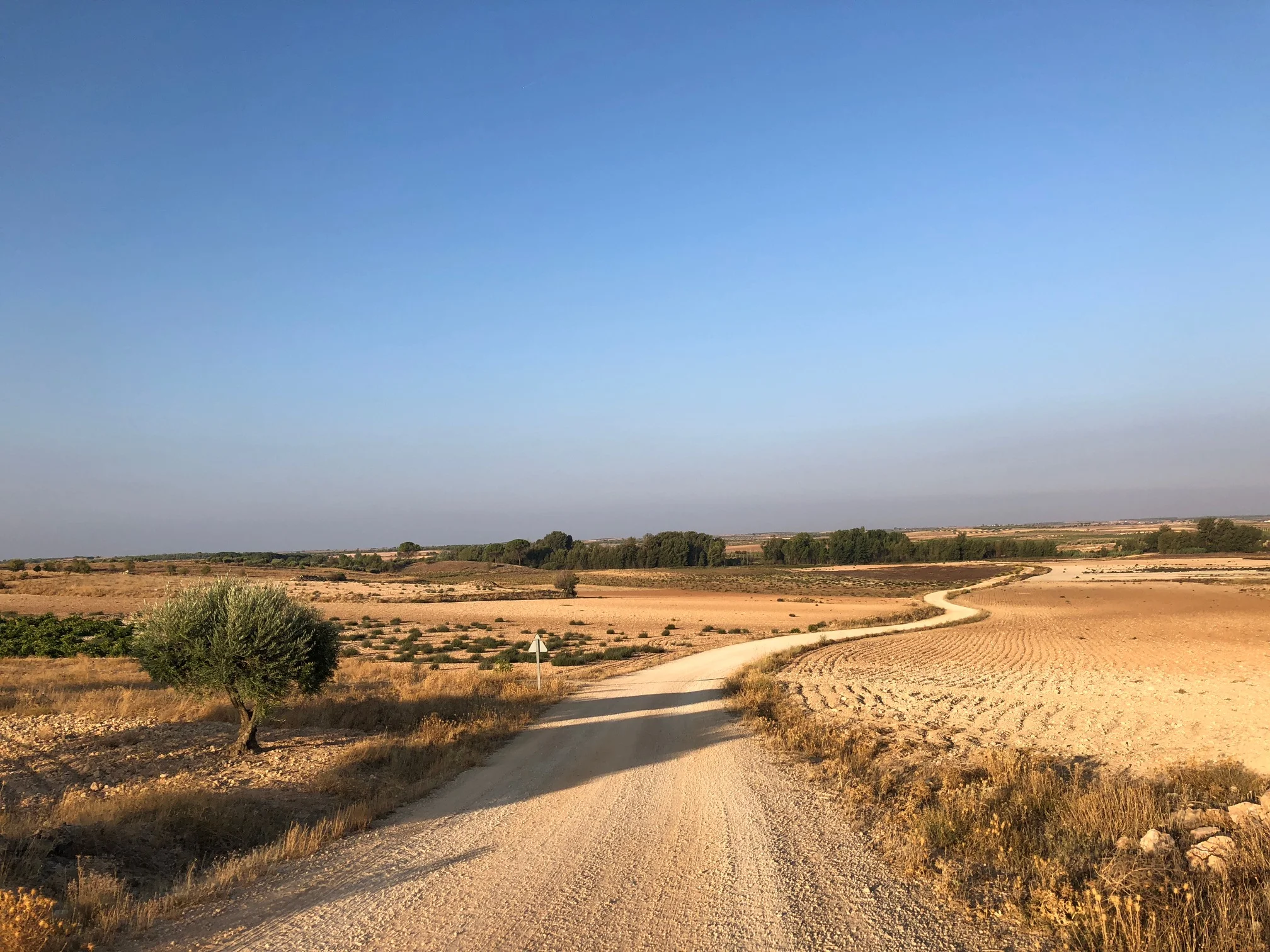SUN BEHIND ME, WIND AT MY BACK, PATH BEFORE ME