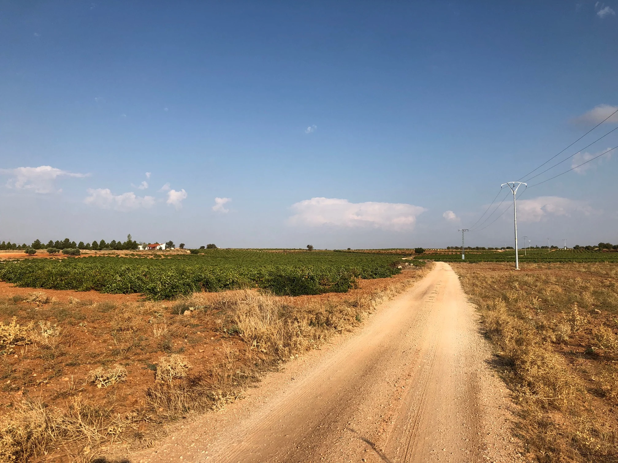 THE HILLINESS AND INTENSIVE FARMING HAS CHANGED THE WHOLE VIBE OF THE TERRAIN