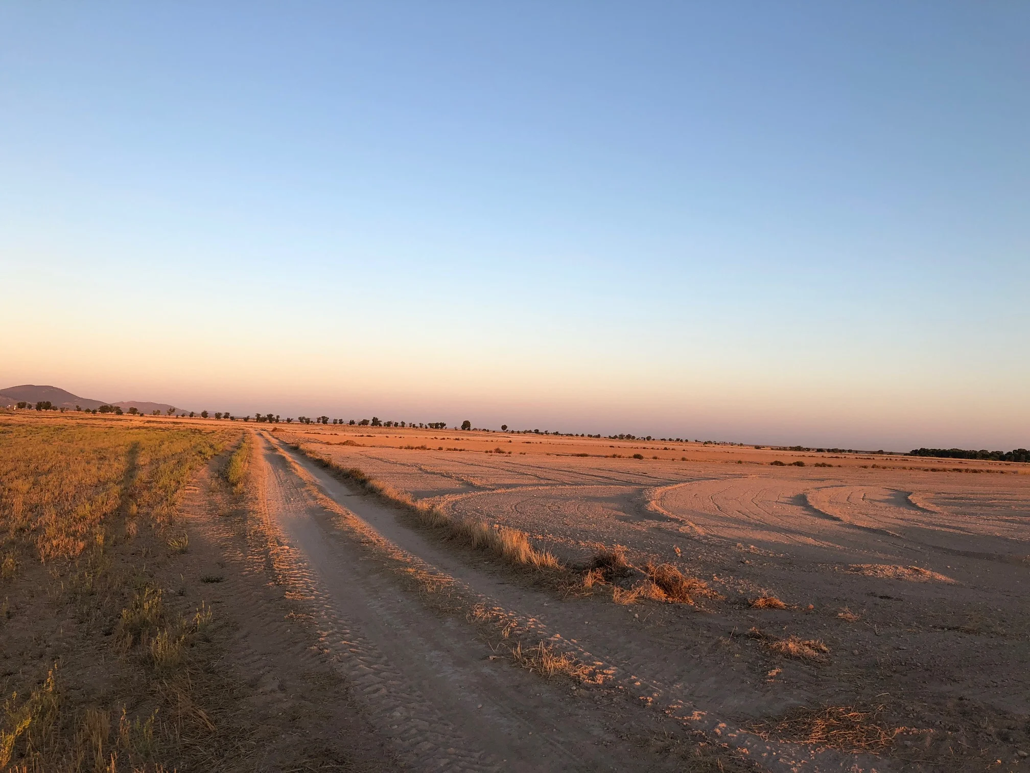 THE SUN RISING BEHIND ME LIGHTING UP THE PATH AND THE FIELDS