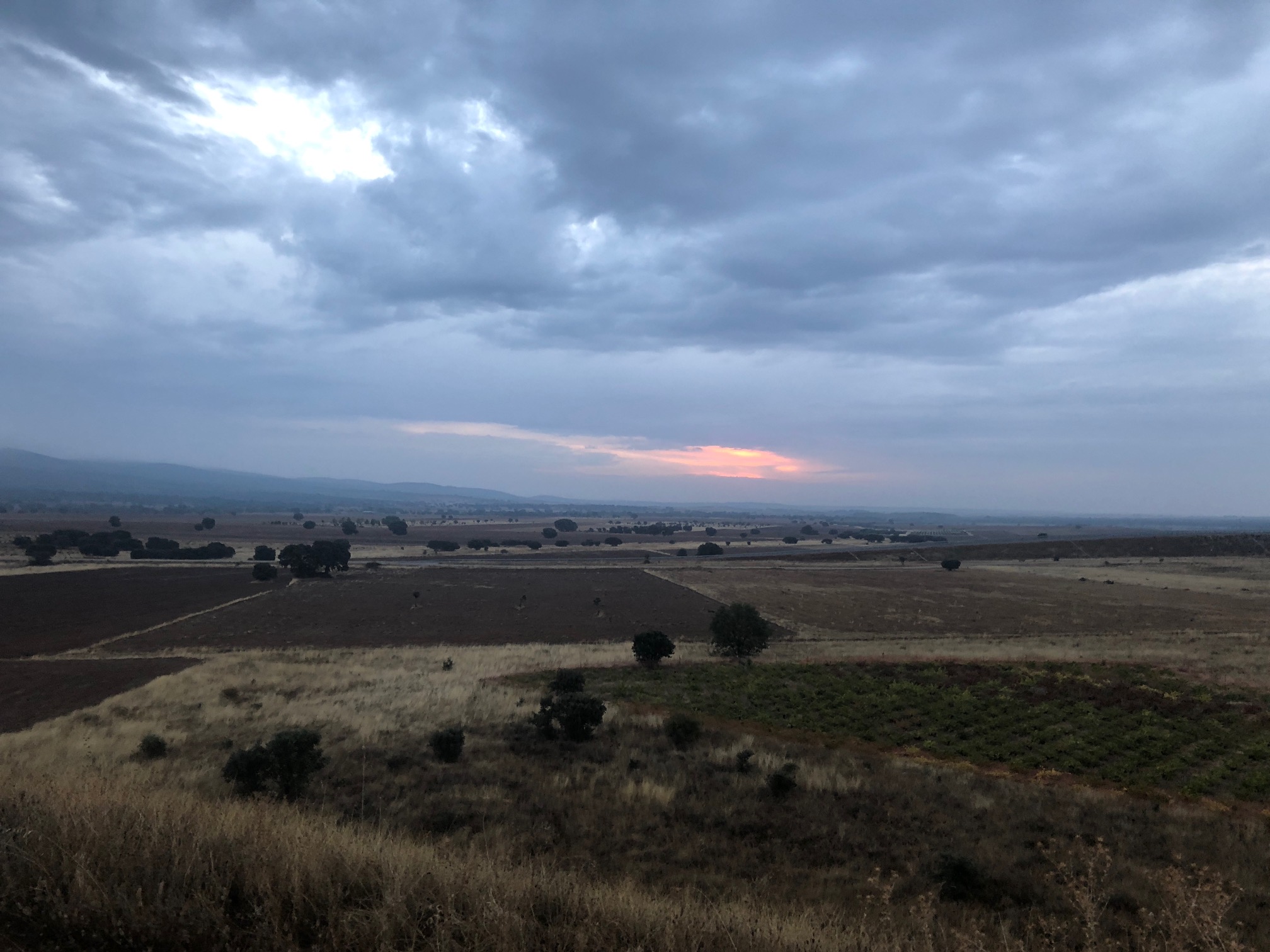 Stifled sunrise
