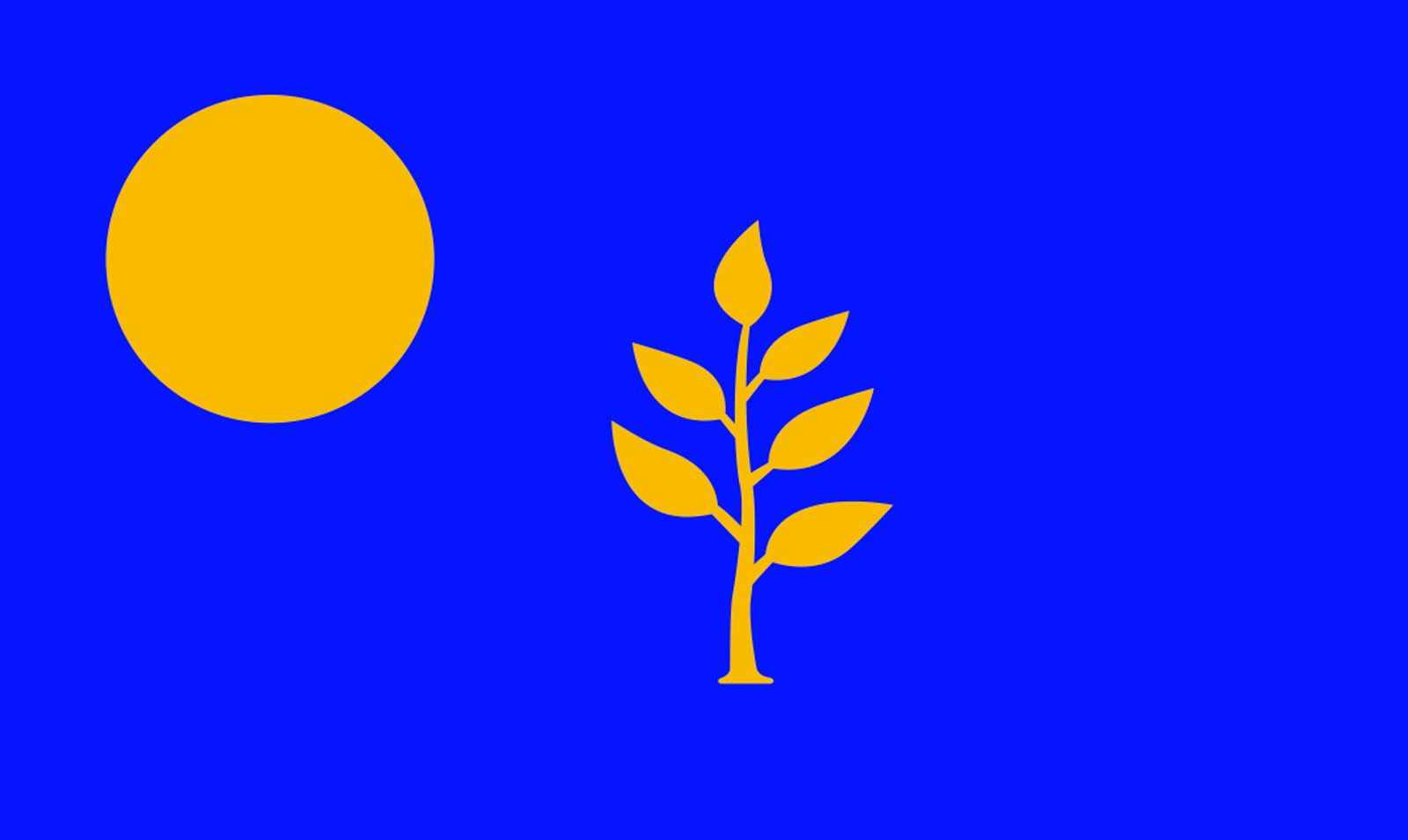 RochesterFlag-R2_0062.jpg