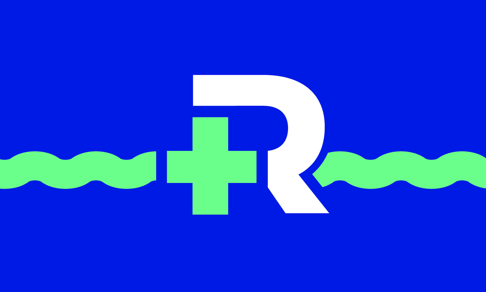 RochesterFlag-R2_0065.jpg