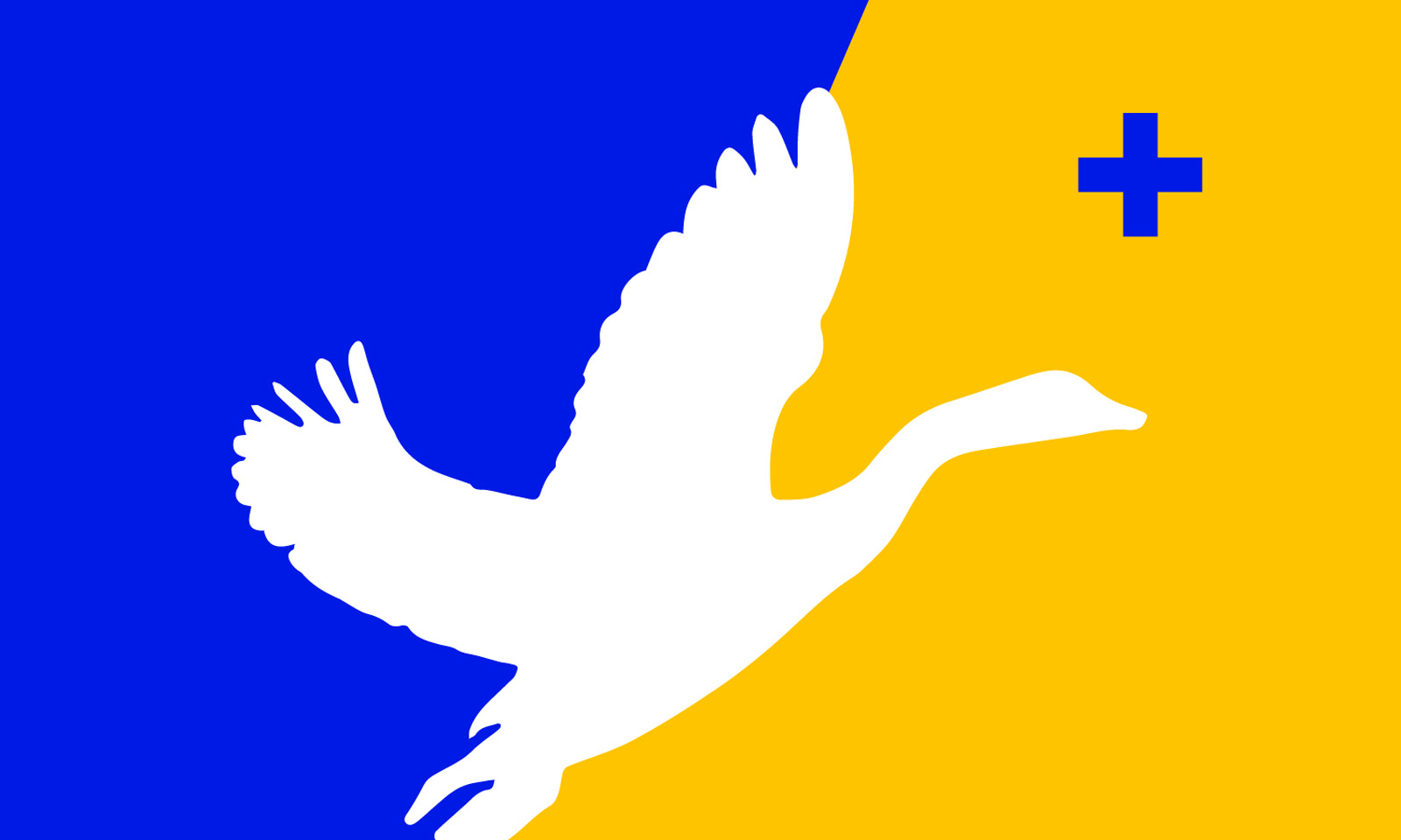 RochesterFlag-R2_0066.jpg