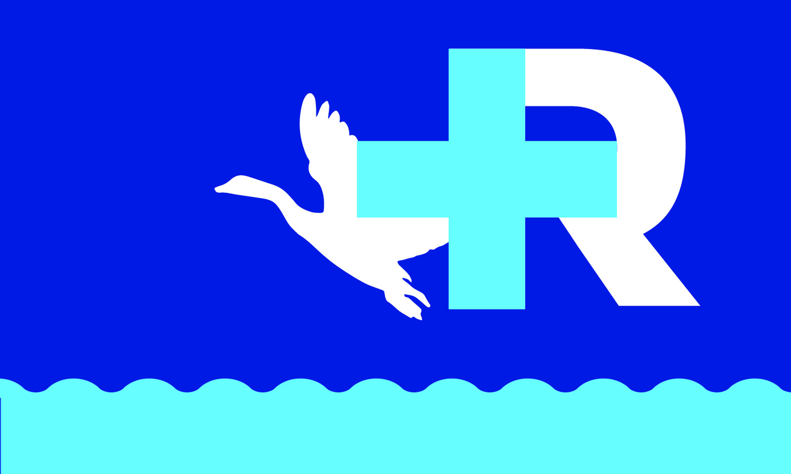 RochesterFlag-R2_0067.jpg