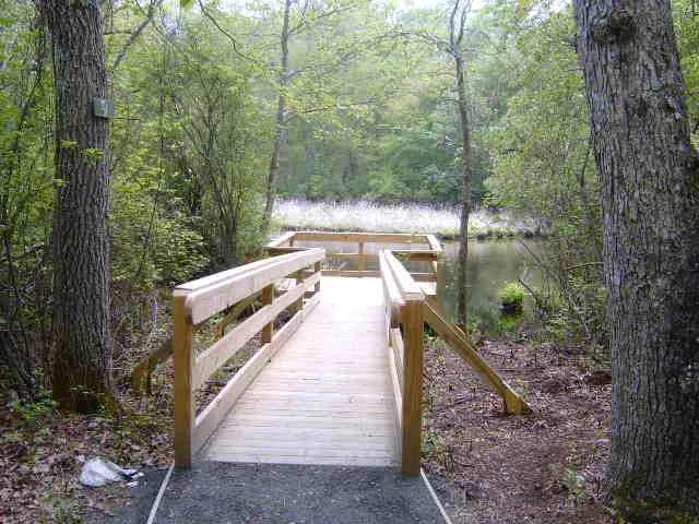 S5300779.JPG