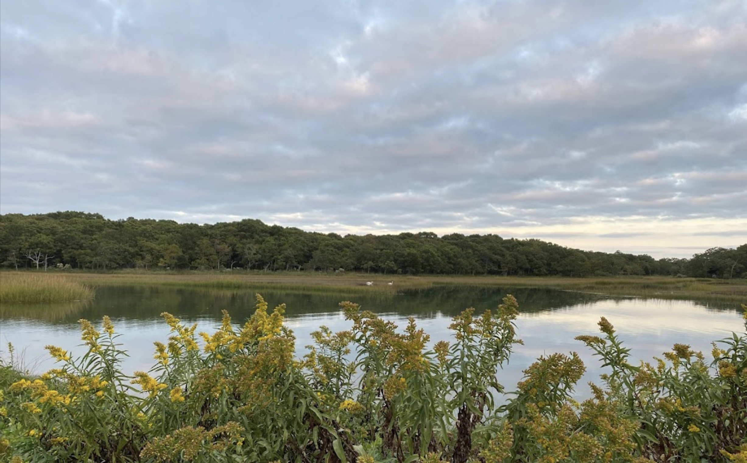 Cedar Point County Park Blind Dedication
