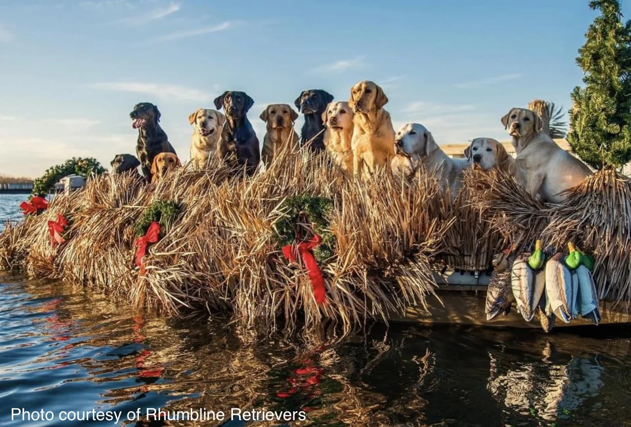 Christmas Party Dish List