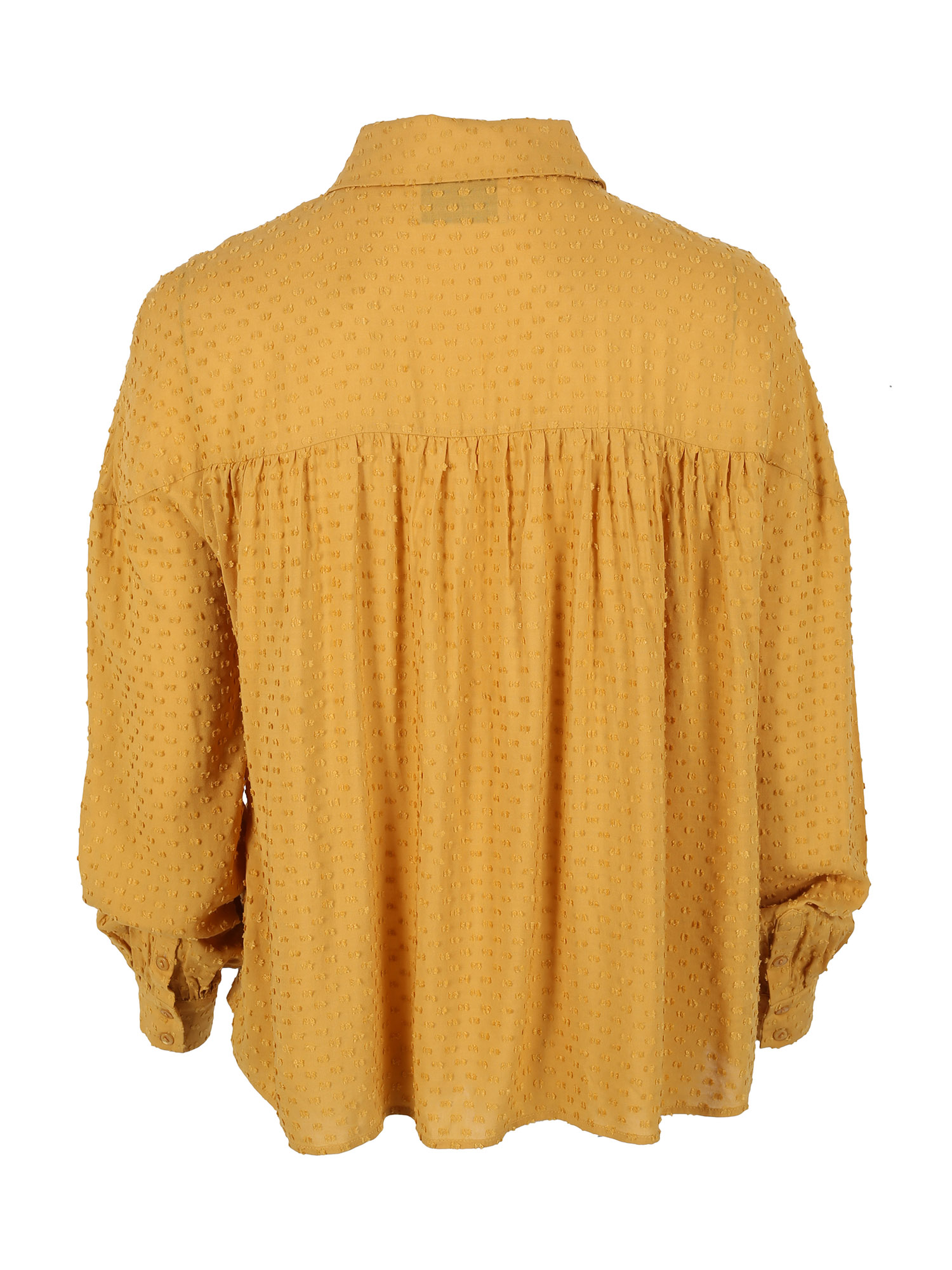 Perk shirt mango_back.jpg