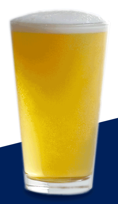 Bearliner-2.gif