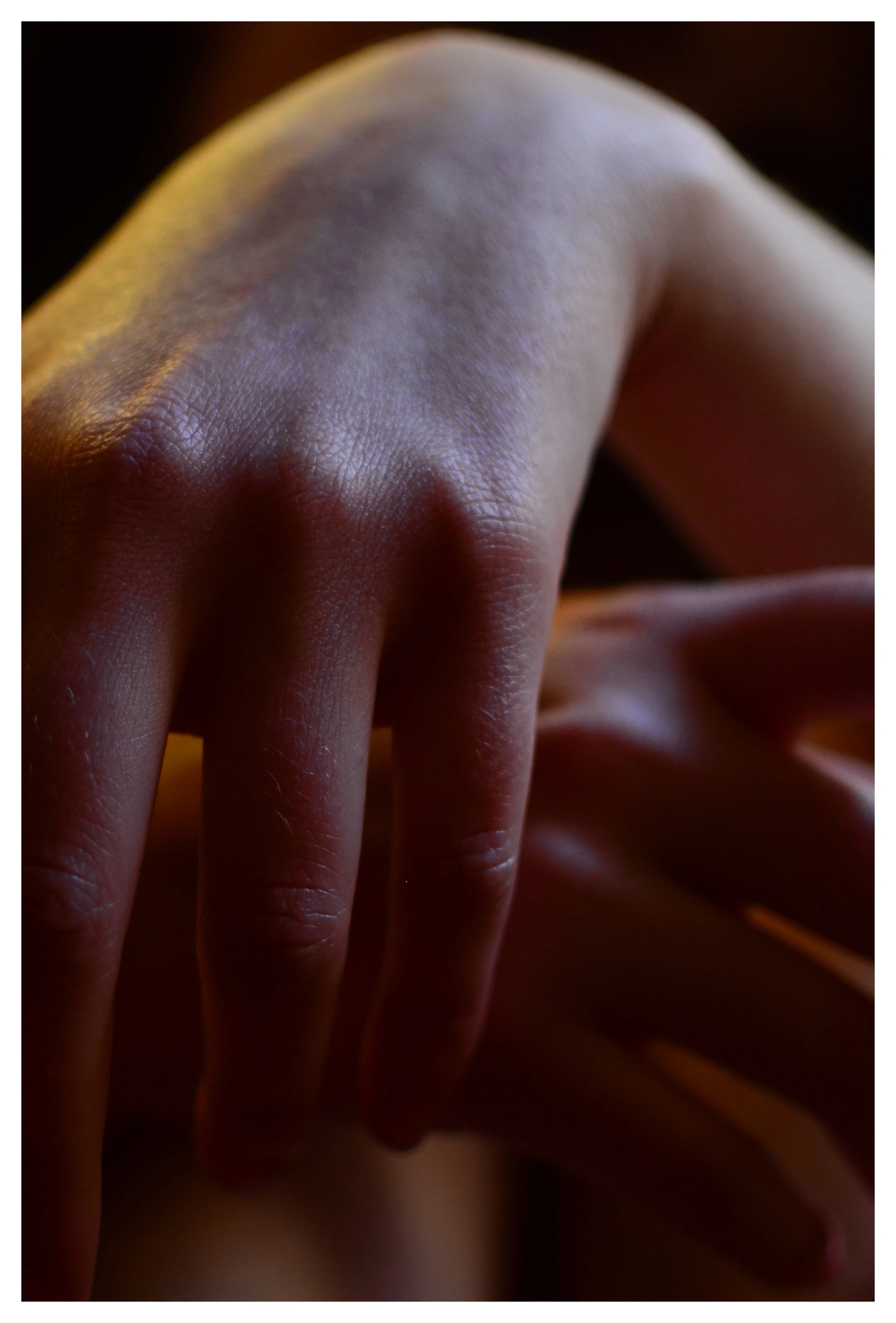 Untitled-3-6.jpg