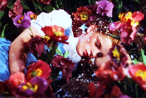 tumblr_n3mjlxXfJk1qa70eyo2_500.gif