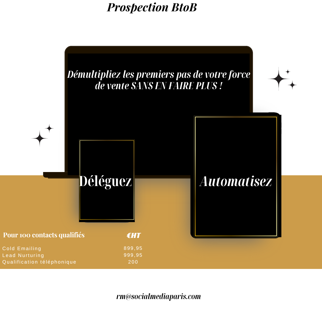 PROSPECTION BtoB : EMAILING et Call de qualification pour 100 contacts générés