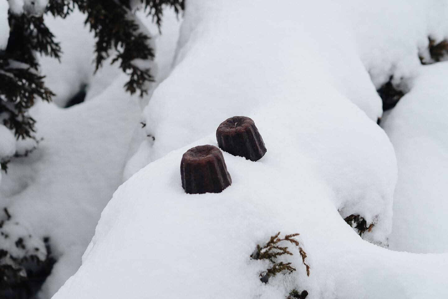 〰️
雪季限定高山上的金福可麗露，冰鎮過後還原度滿分。

（用鳳梨酥盒子裝輕量好攜帶😆）
（今年目標是把金福本人帶上山煮咖啡☕️）
-
#小金牛探險隊
#山登り