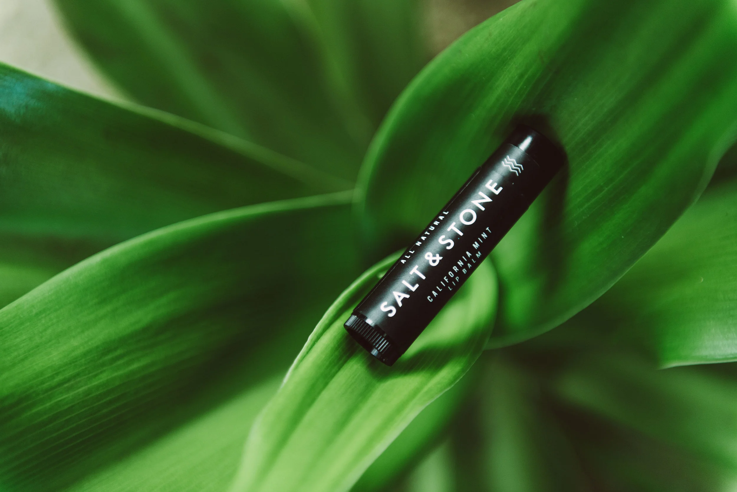 SALT & STONE Organic Lip Balm