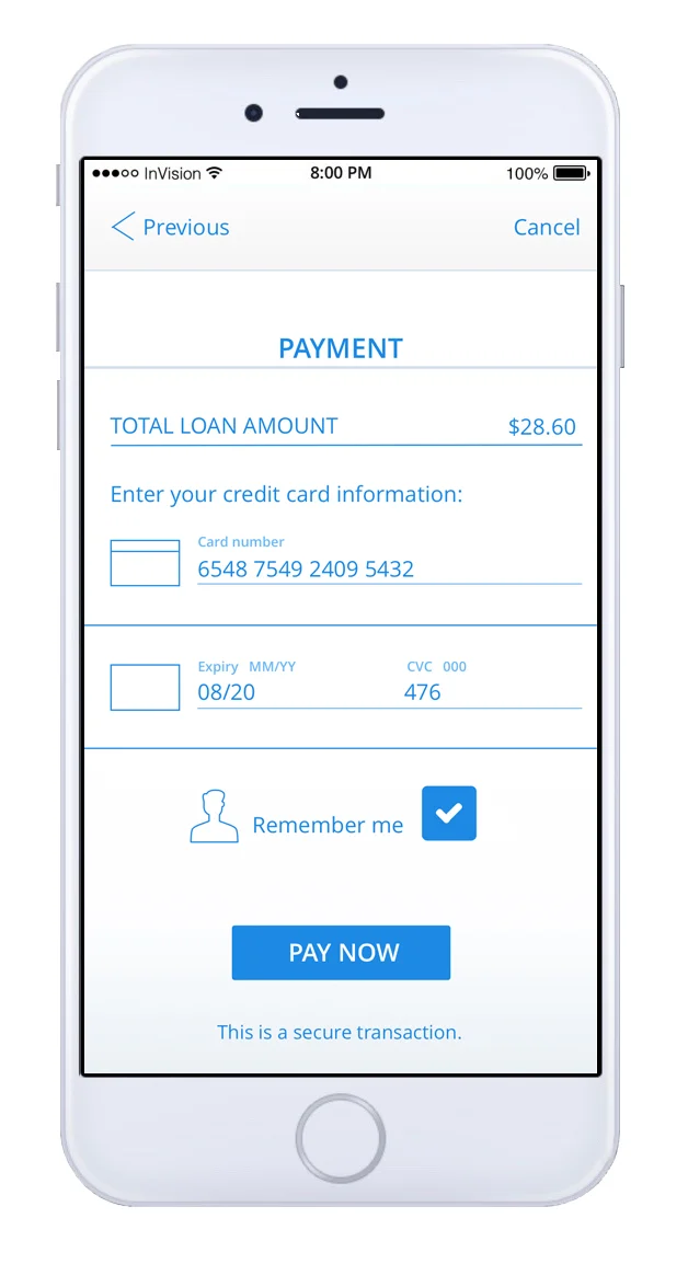 12lender-payment-credit-card-filled.jpg