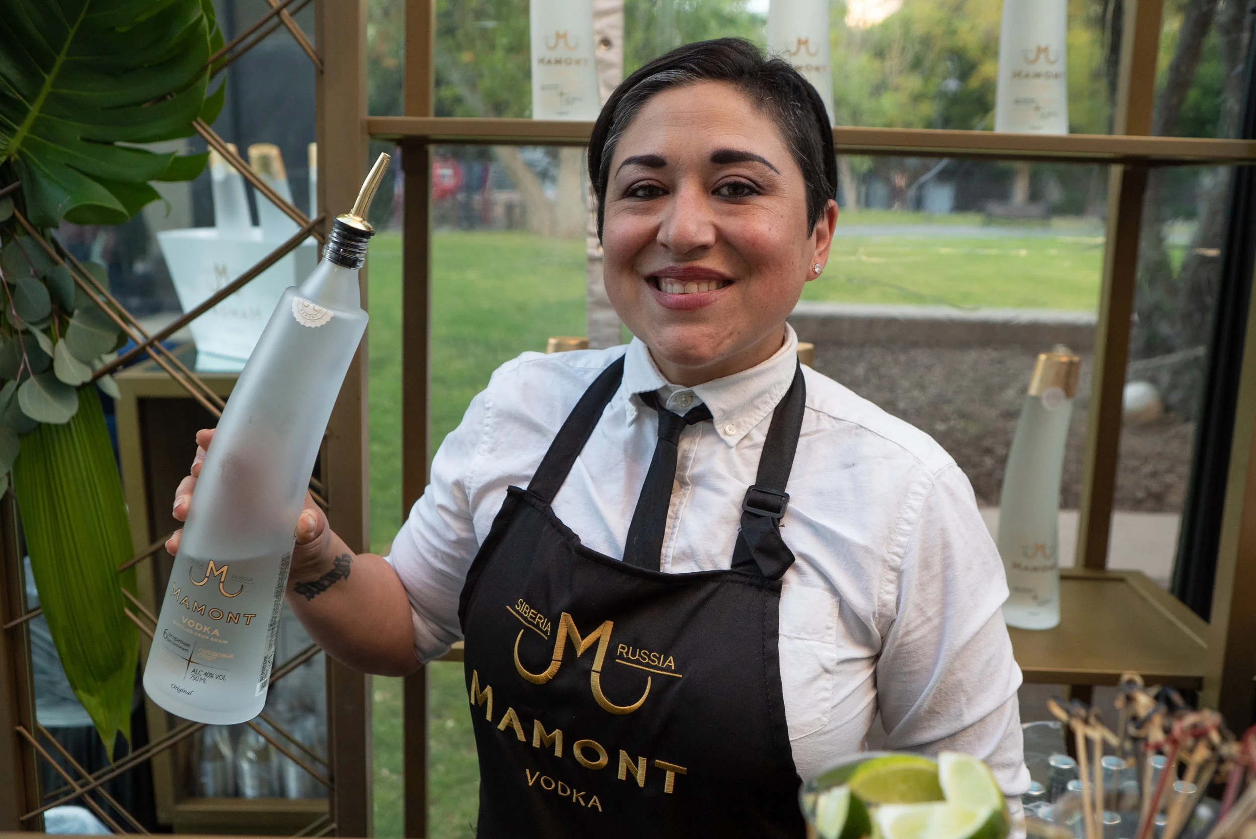 Franke Saulle 11.jpg