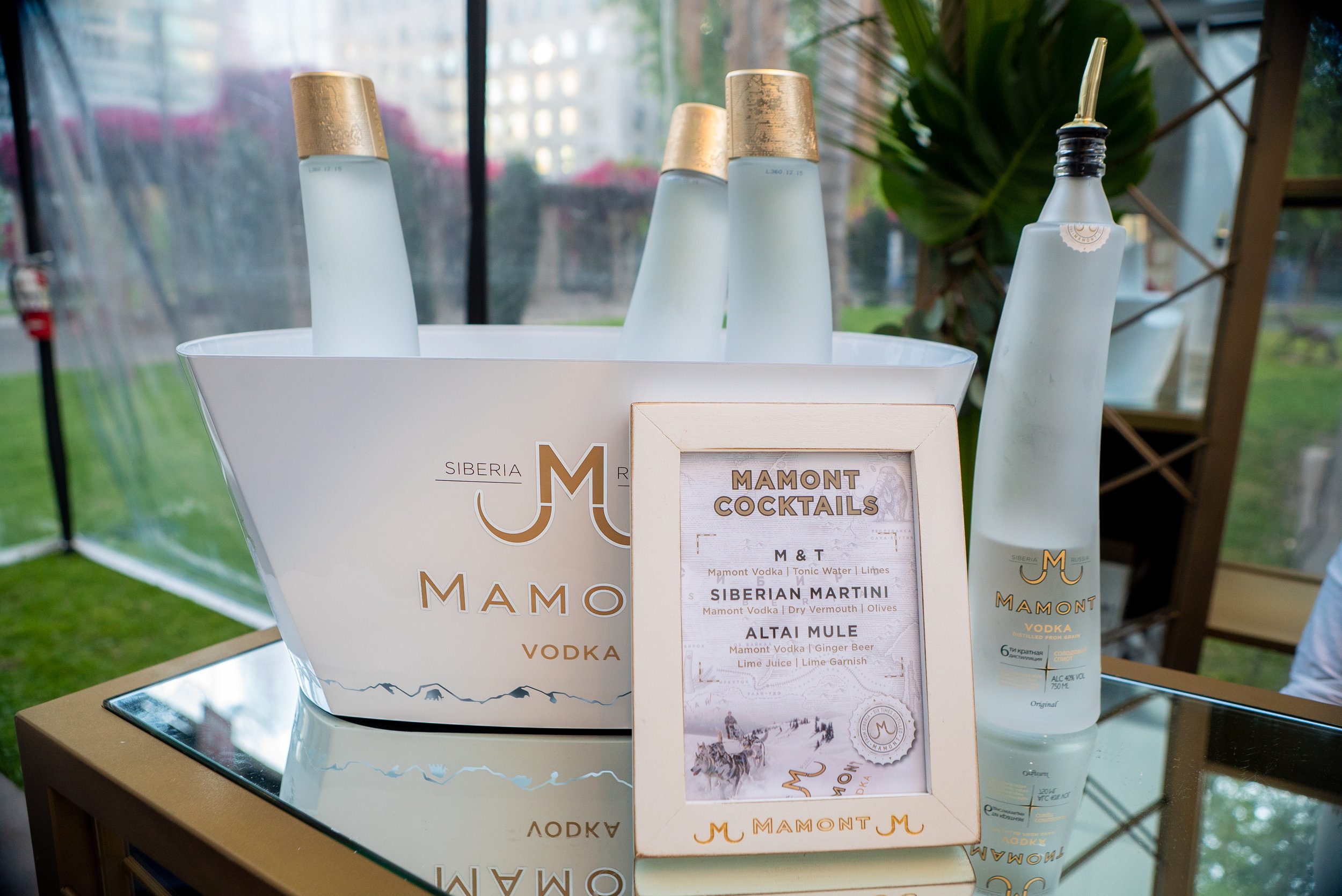 Franke Saulle 12.jpg