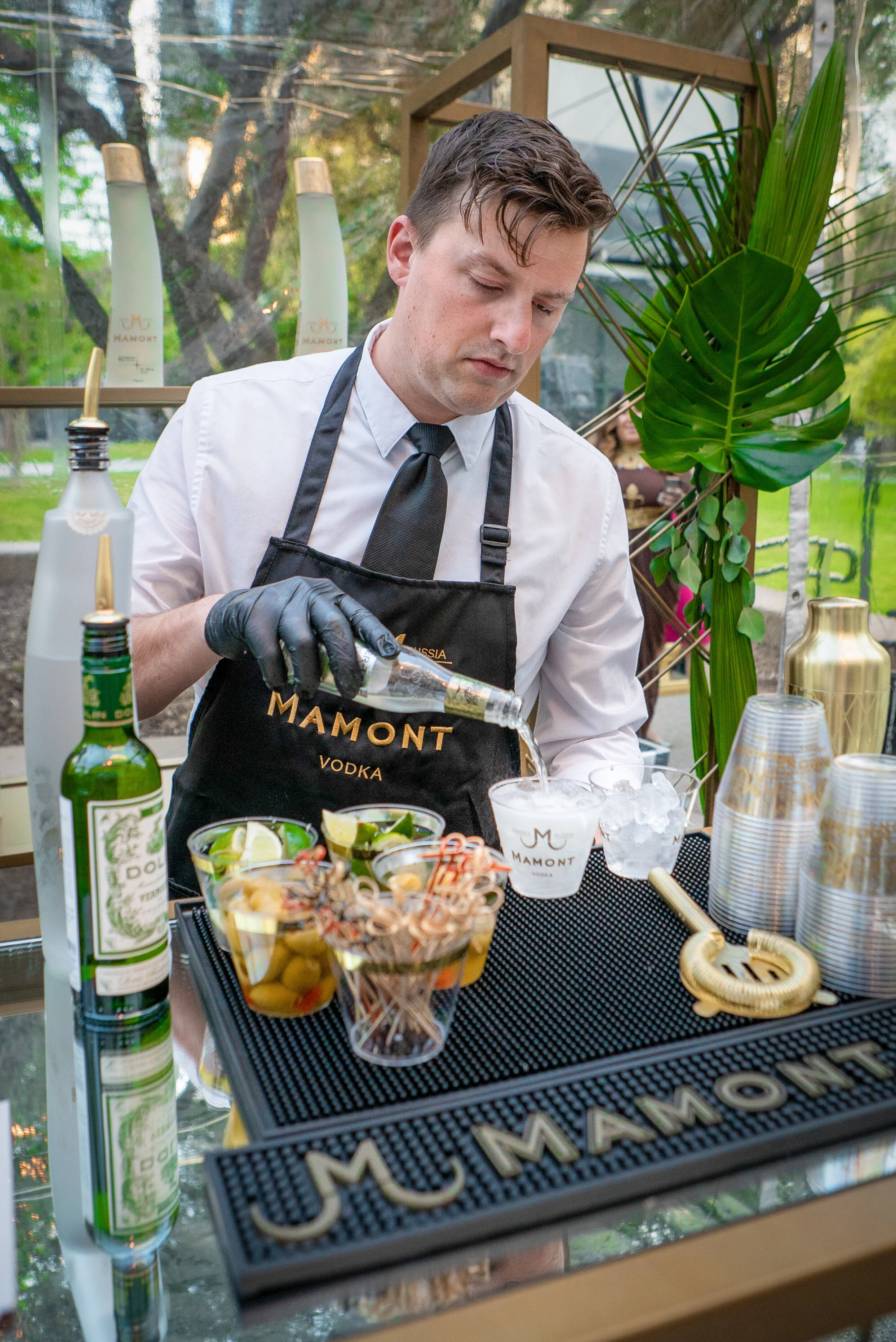 Franke Saulle 18-2.jpg