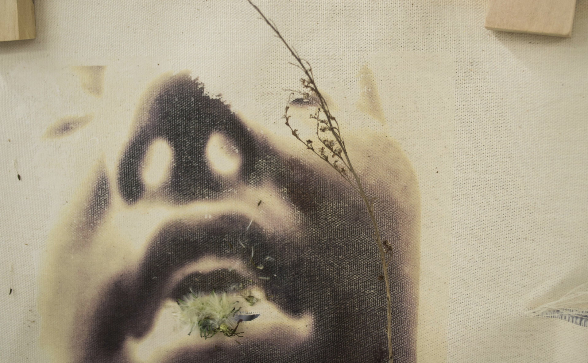 More microfiction for your microfascination