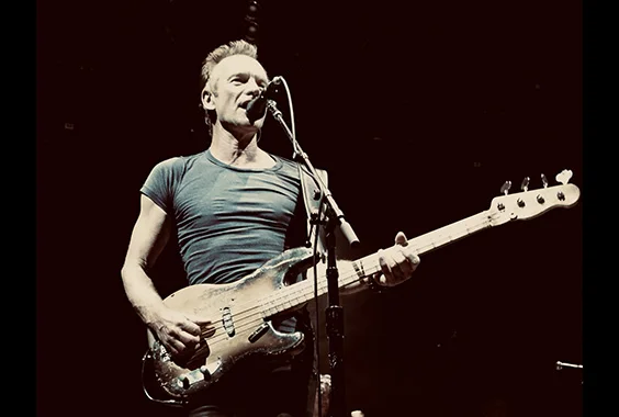 Sting 2.jpg