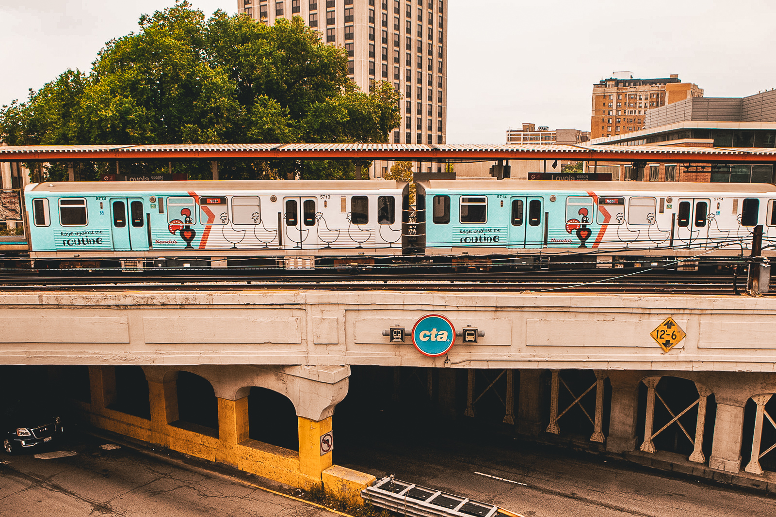 913520.jpg