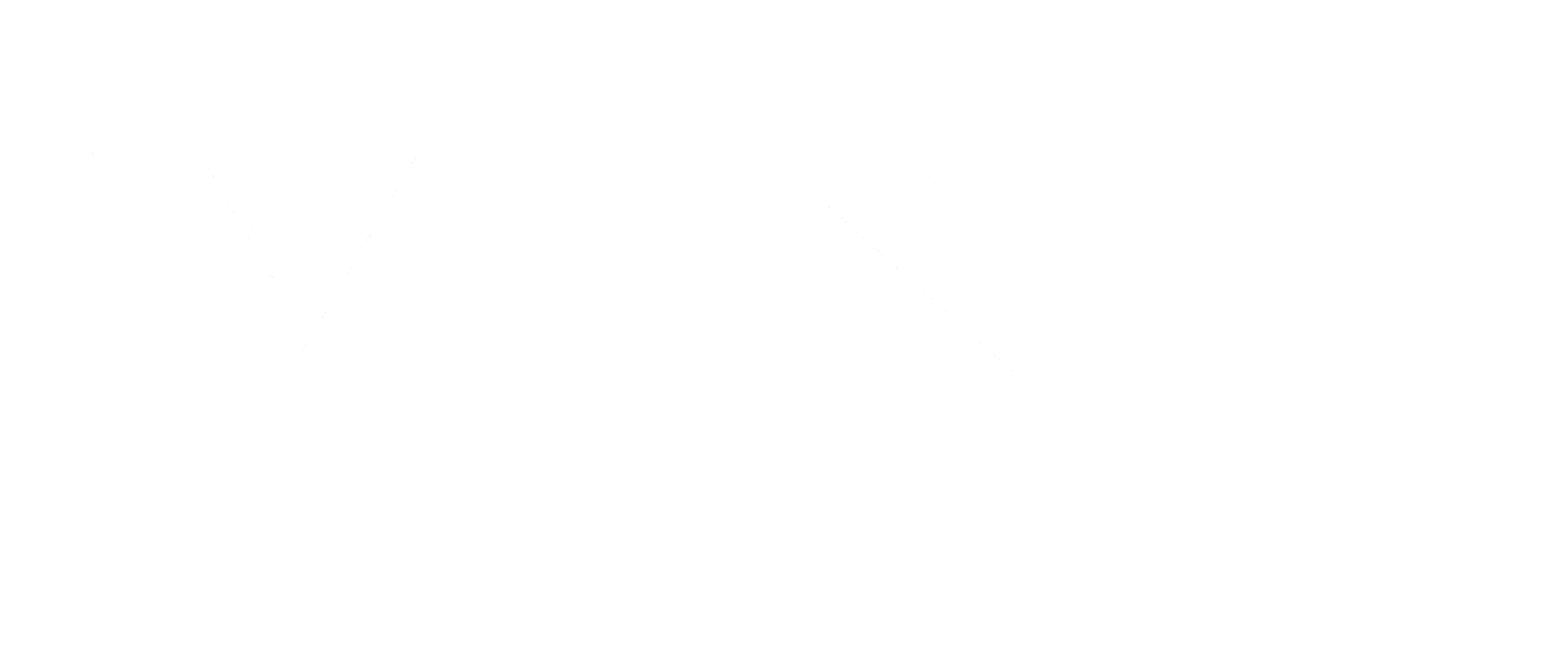 VINE INTERNATIONAL