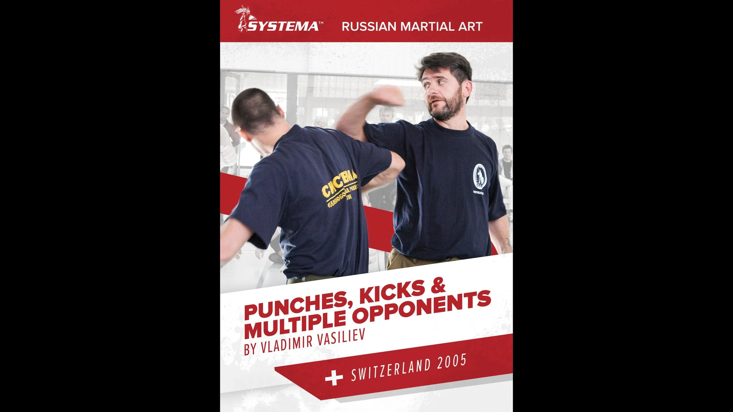 Punch, Kicks, and Multiple Opponents.jpg