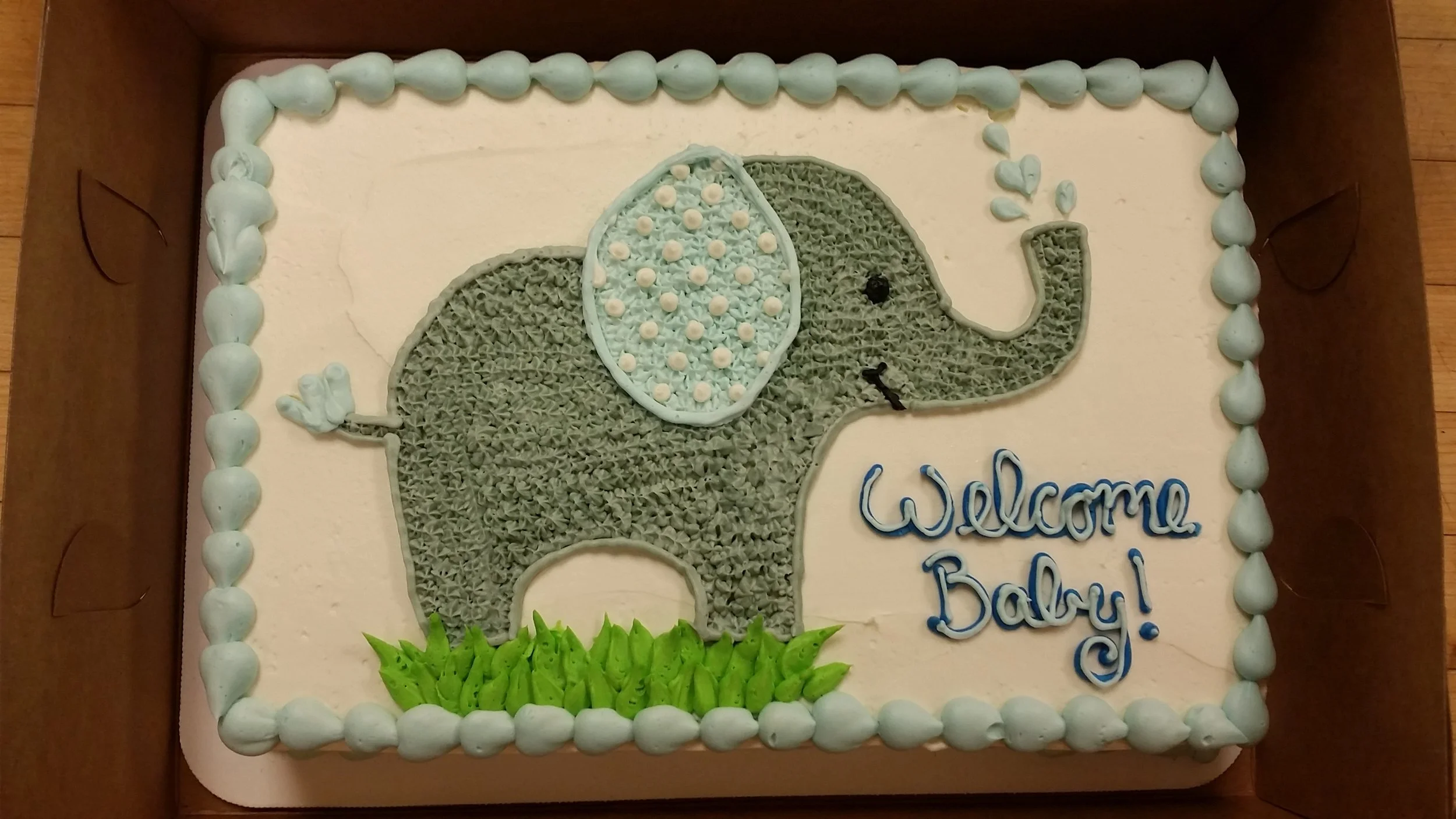 Baby Shower Elephant.jpg