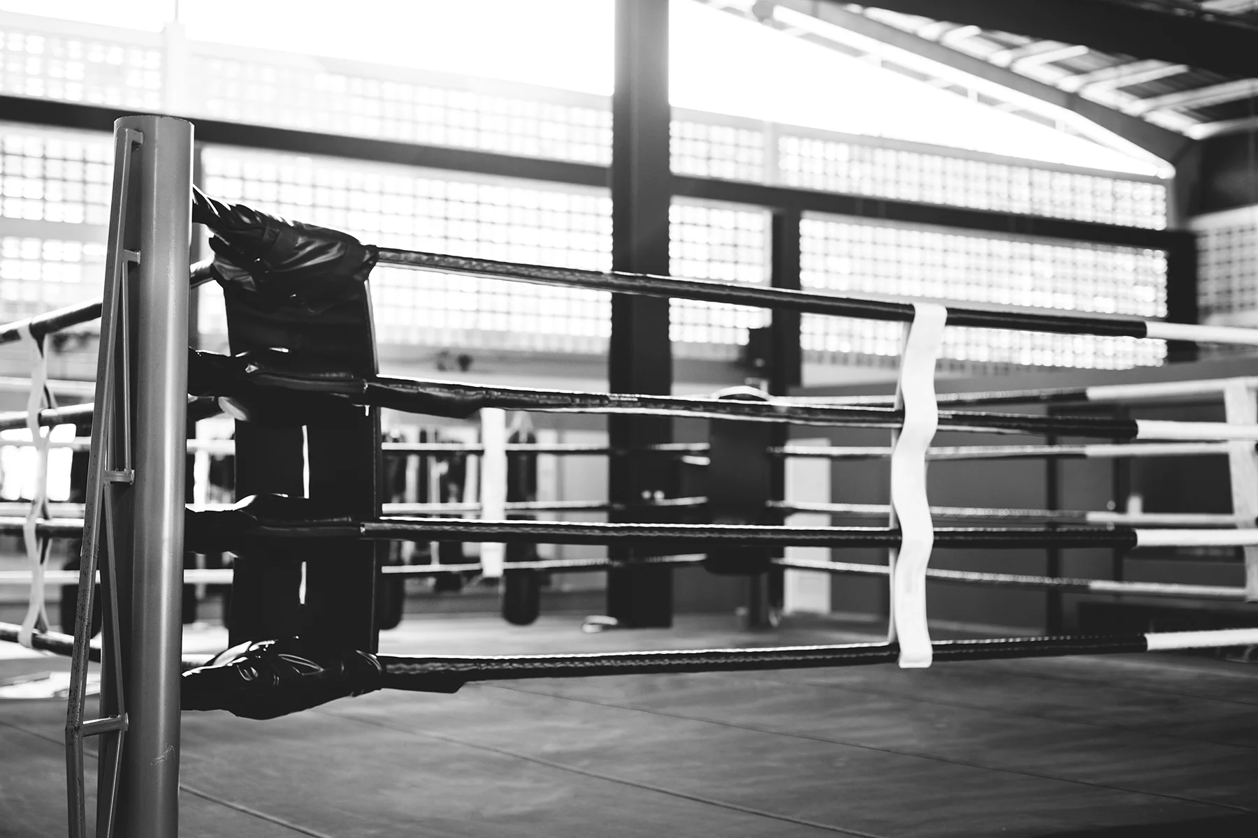MG Blog_01.25_Fight.jpg