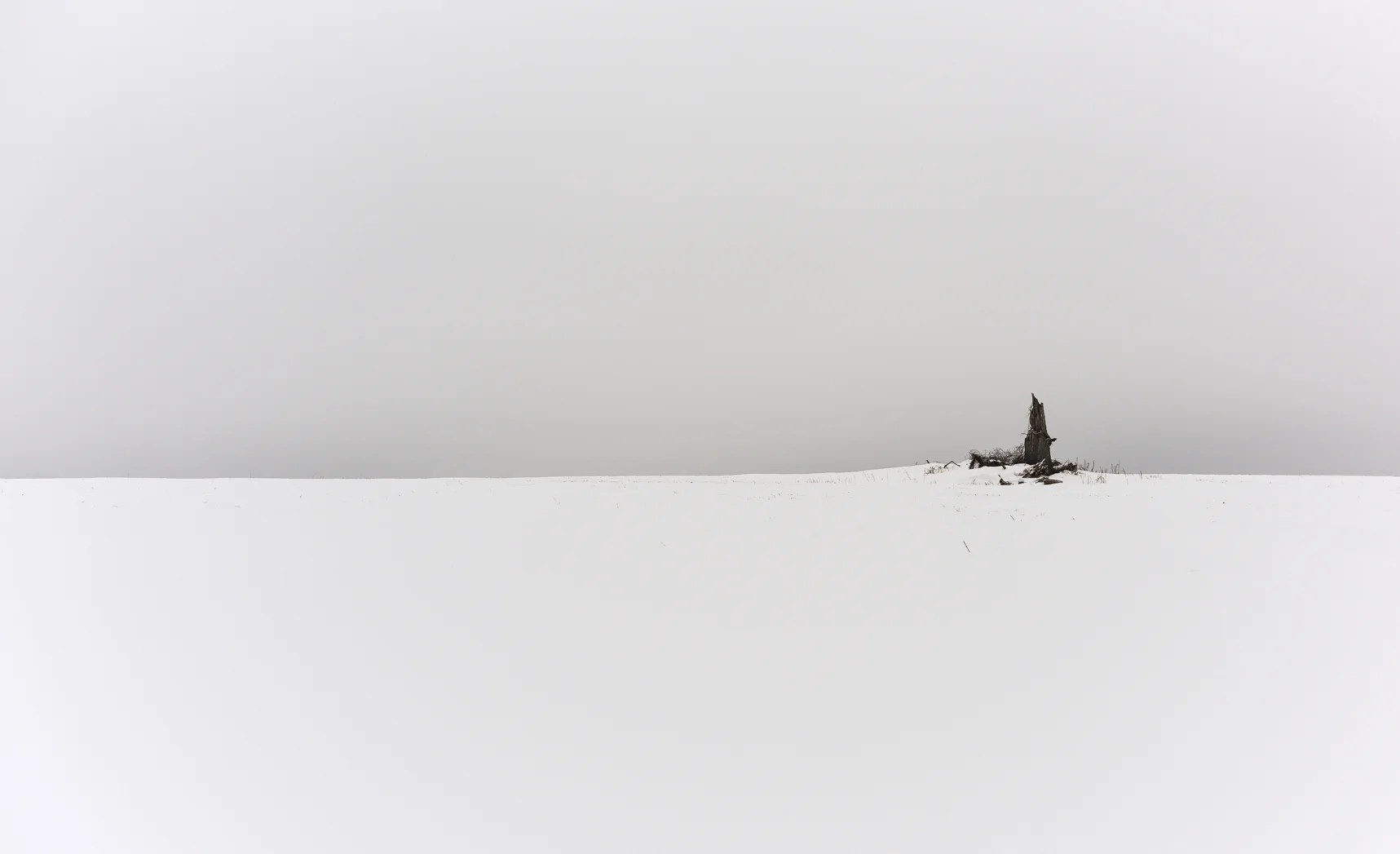 Barrington-1.jpg