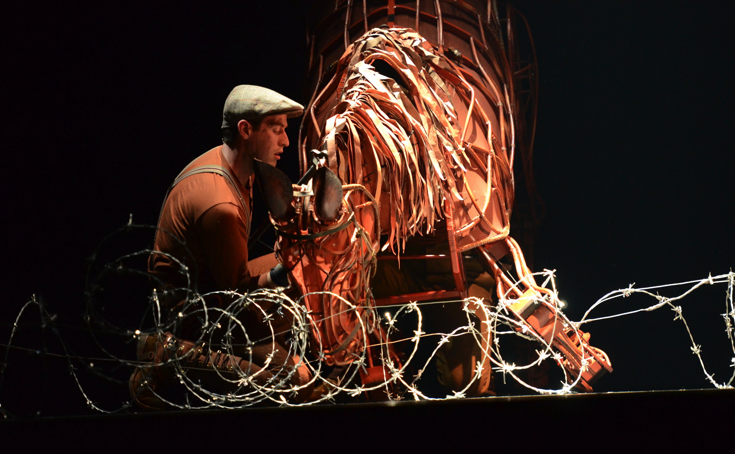  WAR HORSE (1st National Tour) 