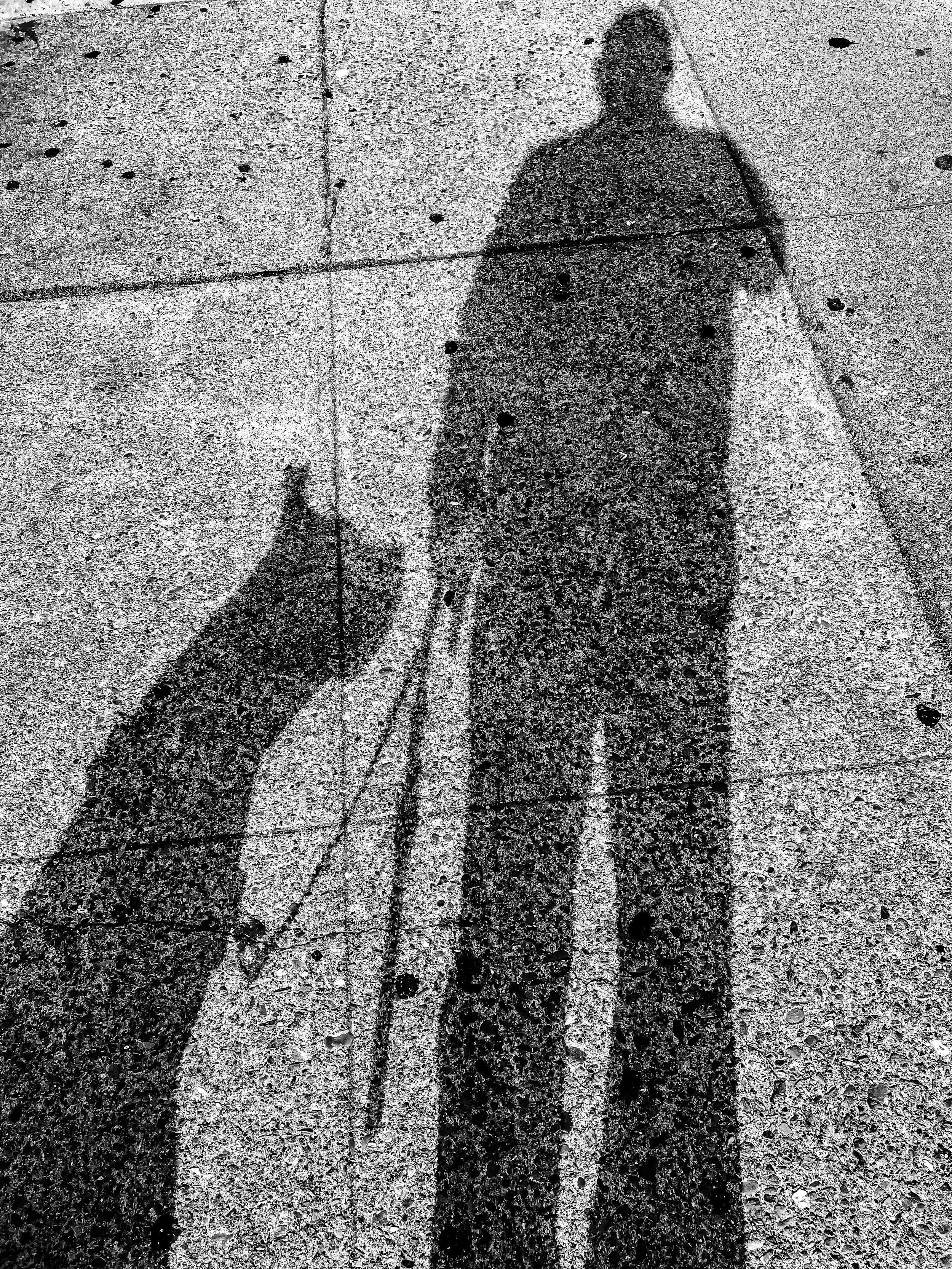  23rd &amp; Mission.  —————————————————#blackandwhitephotography #dogwalking #morningritual #morningrituals #friends #friendship #americanstaffordshireterrier #staffysofinstagram #dogsofinstagram  #dog #dogs #dogstagram 