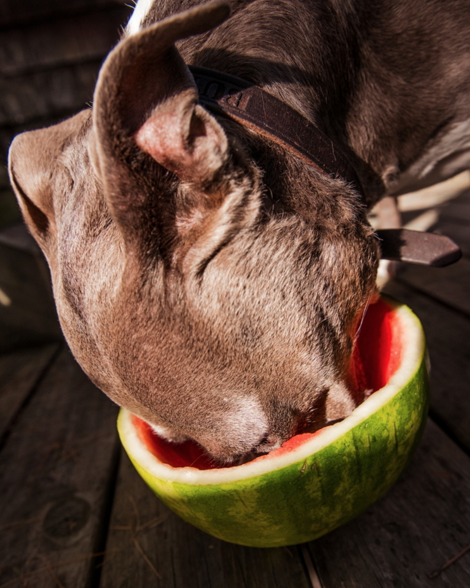 Screen Shot 2021-04-09 at 2.50.10 PM  EDT.png