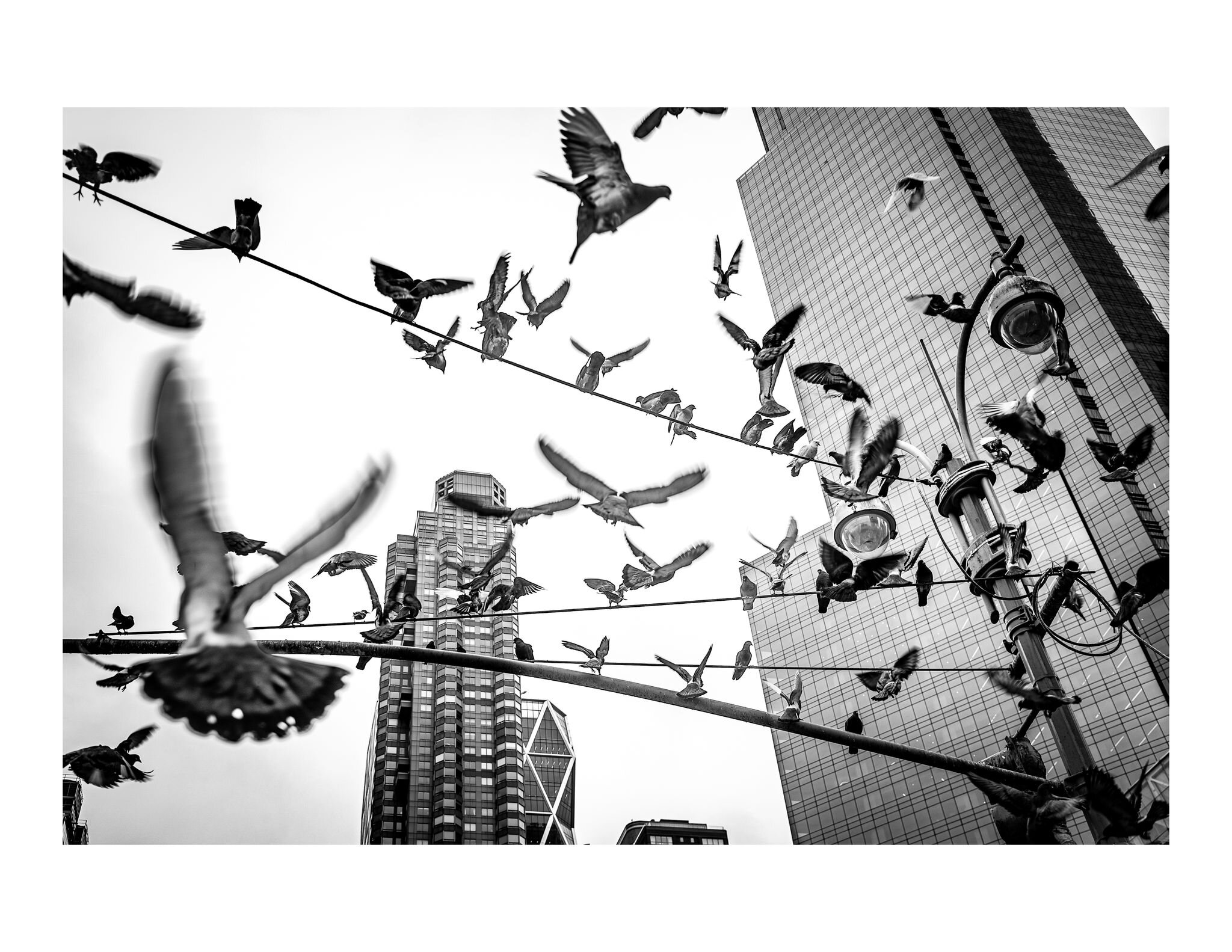 &bull;
.
.
.
.#nyc #nycstreet #nycstreetphoto #nycstreetphotography #bw #bnw #blackandwhite #blackandwhitephoto #blackandwhitephotography #urban #urbanphoto #urbanphotography