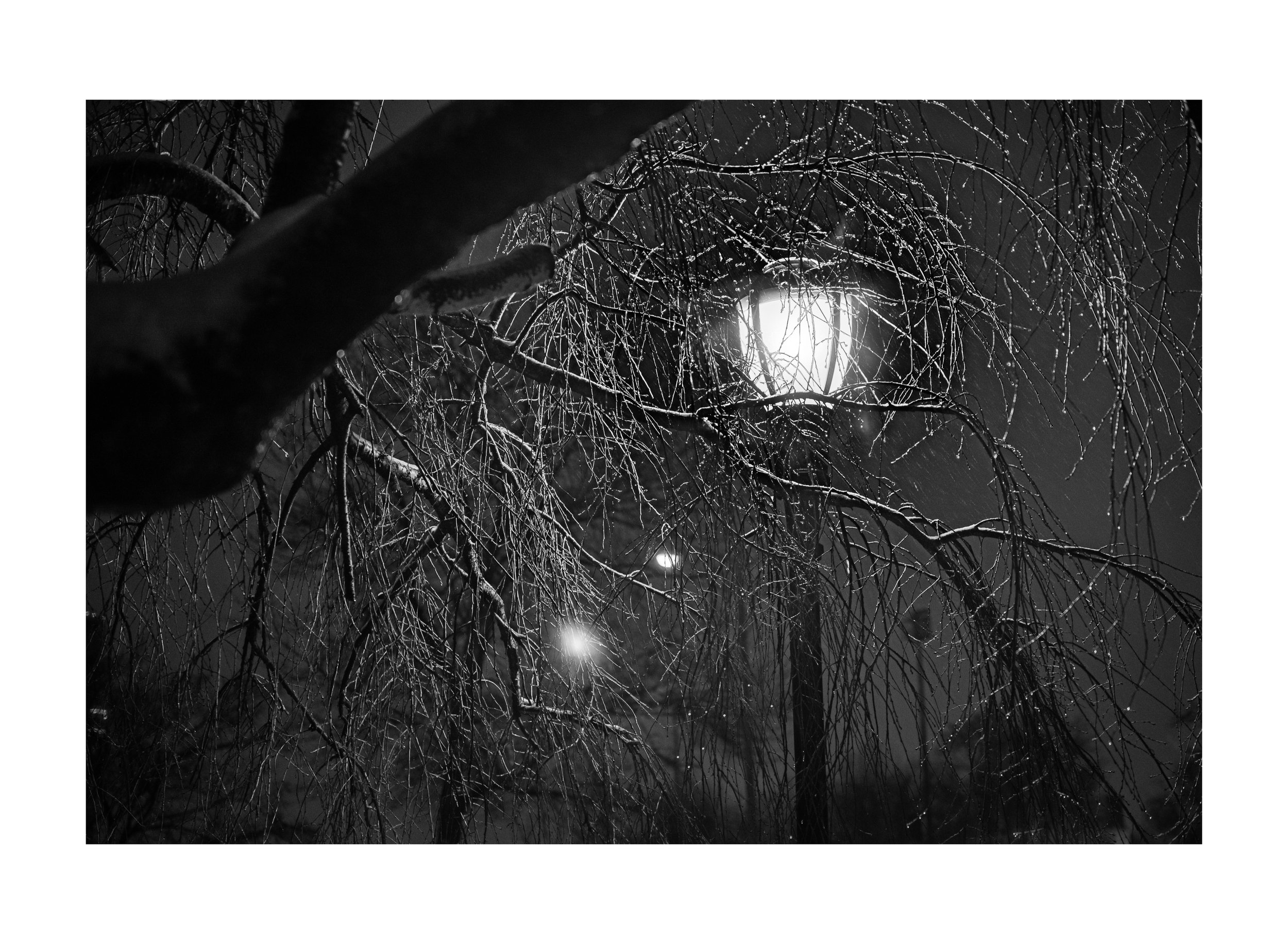 20210212 - Streetlight in Park.jpg