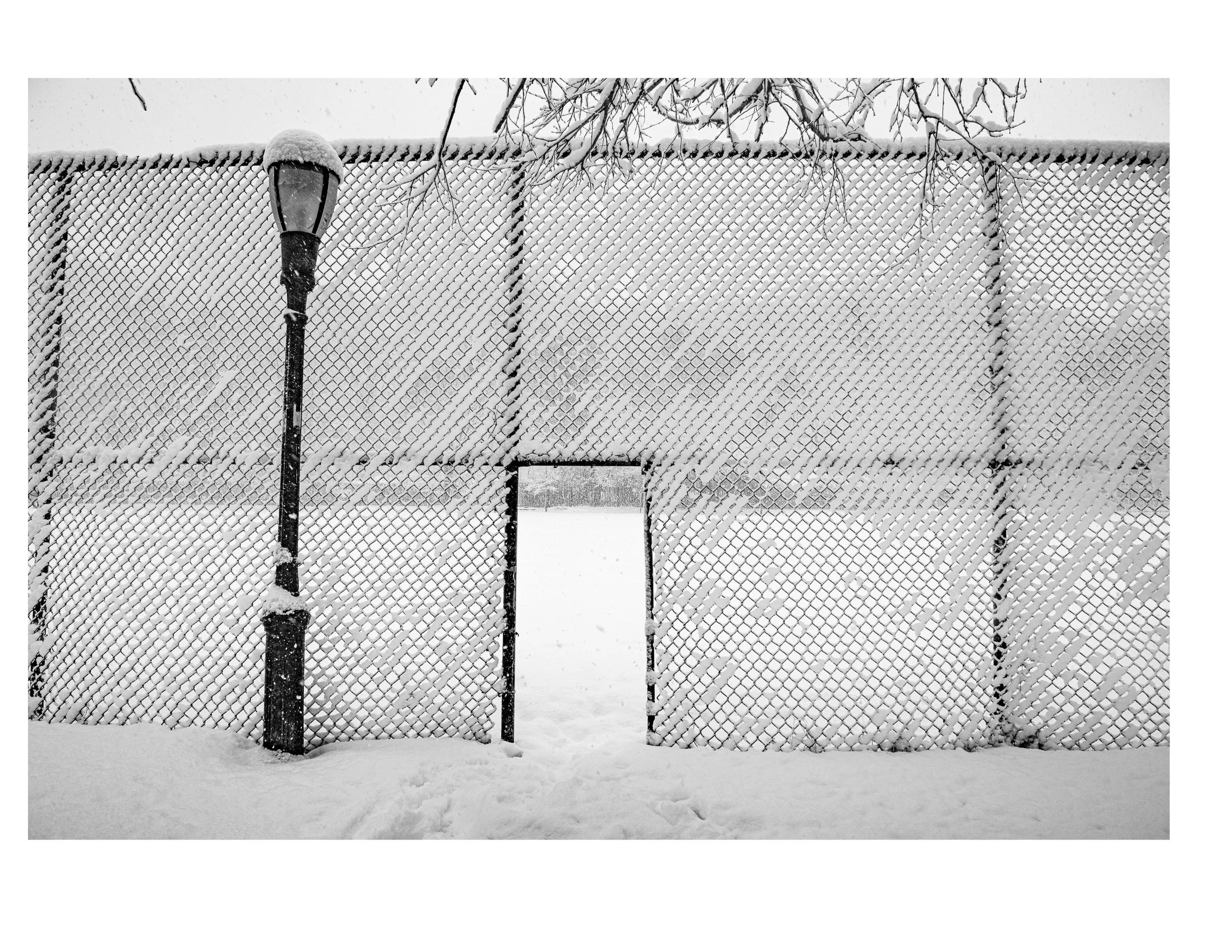 20210210 - Snow Fence with Doorway.jpg