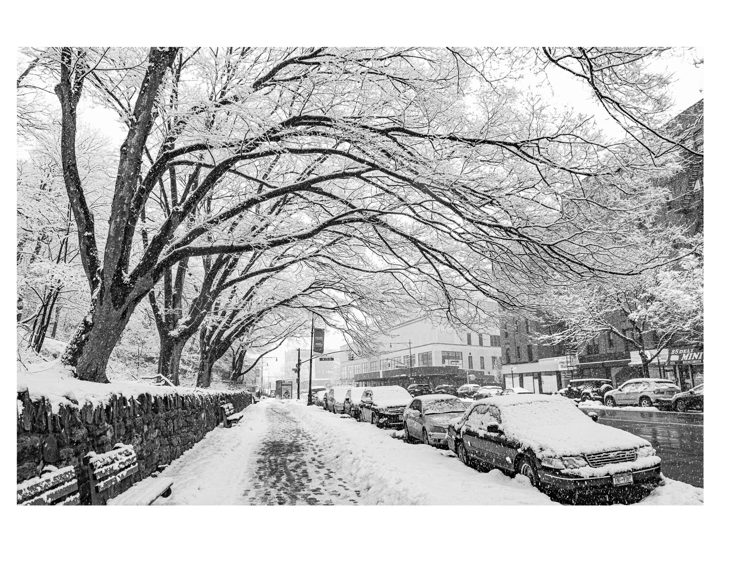 20210210 - Snow Canopy on Broadway.jpg