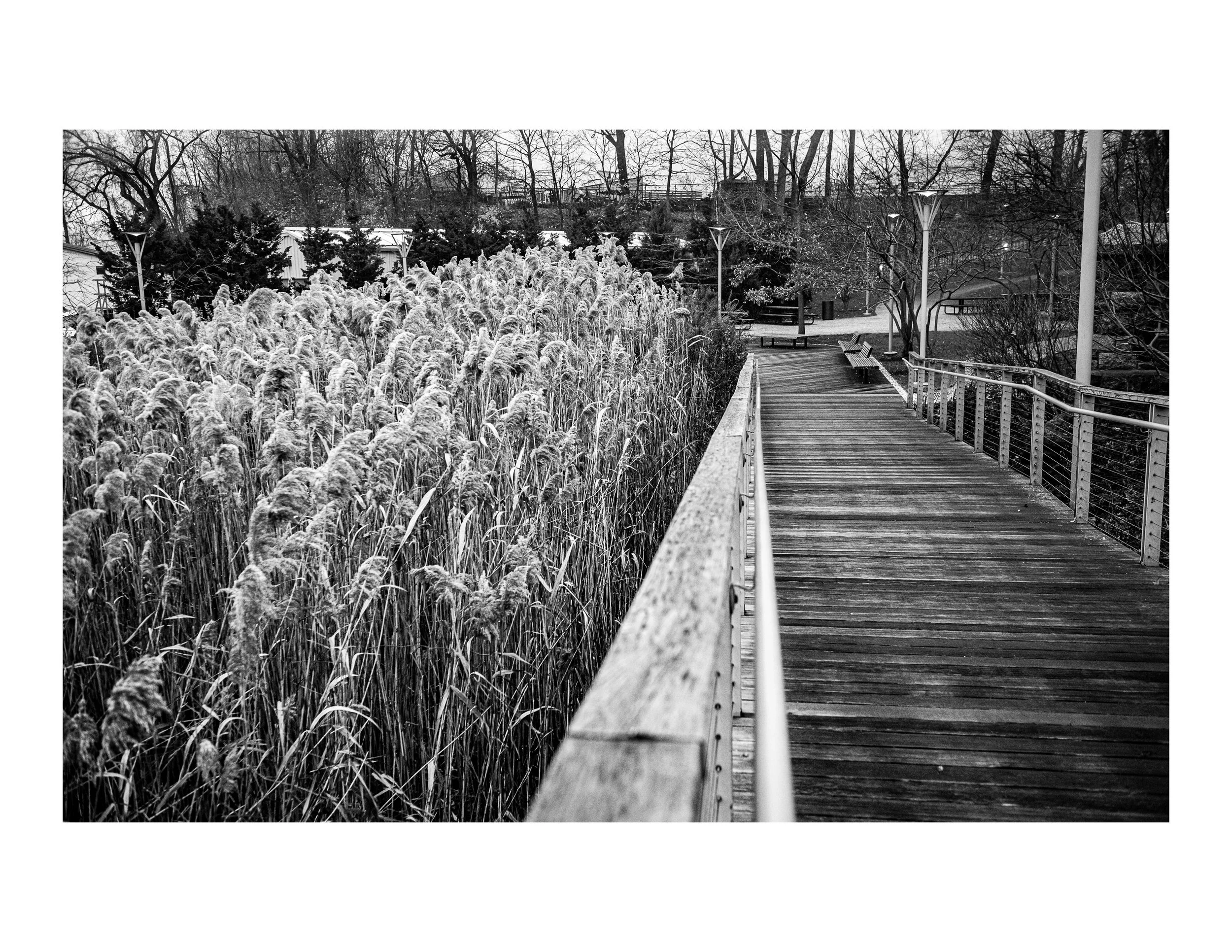 Boardwalk BW.jpg