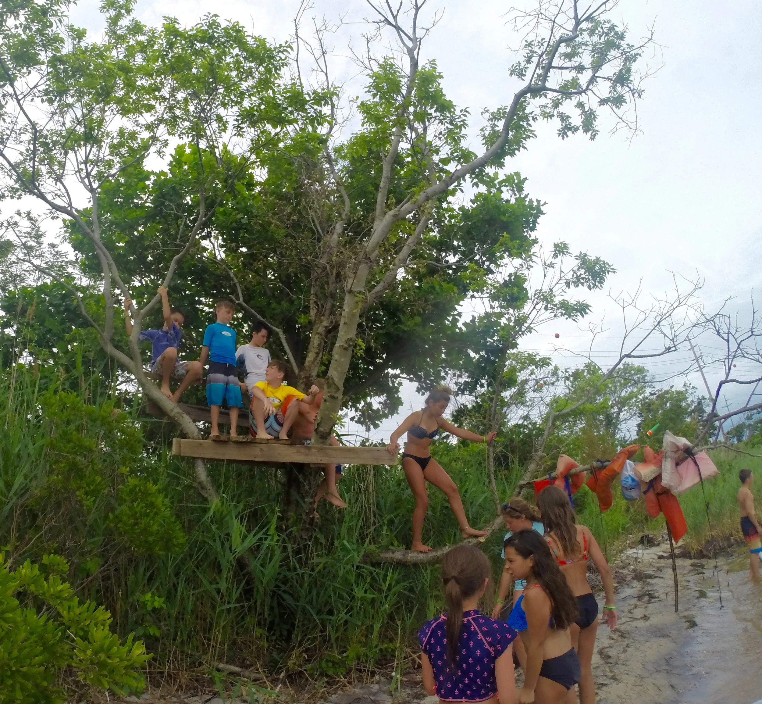 GOPR2554.jpg