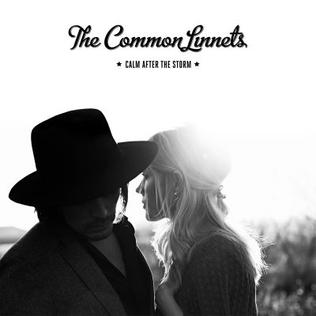 The_Common_Linnets_-_Calm_After_the_Storm.jpg