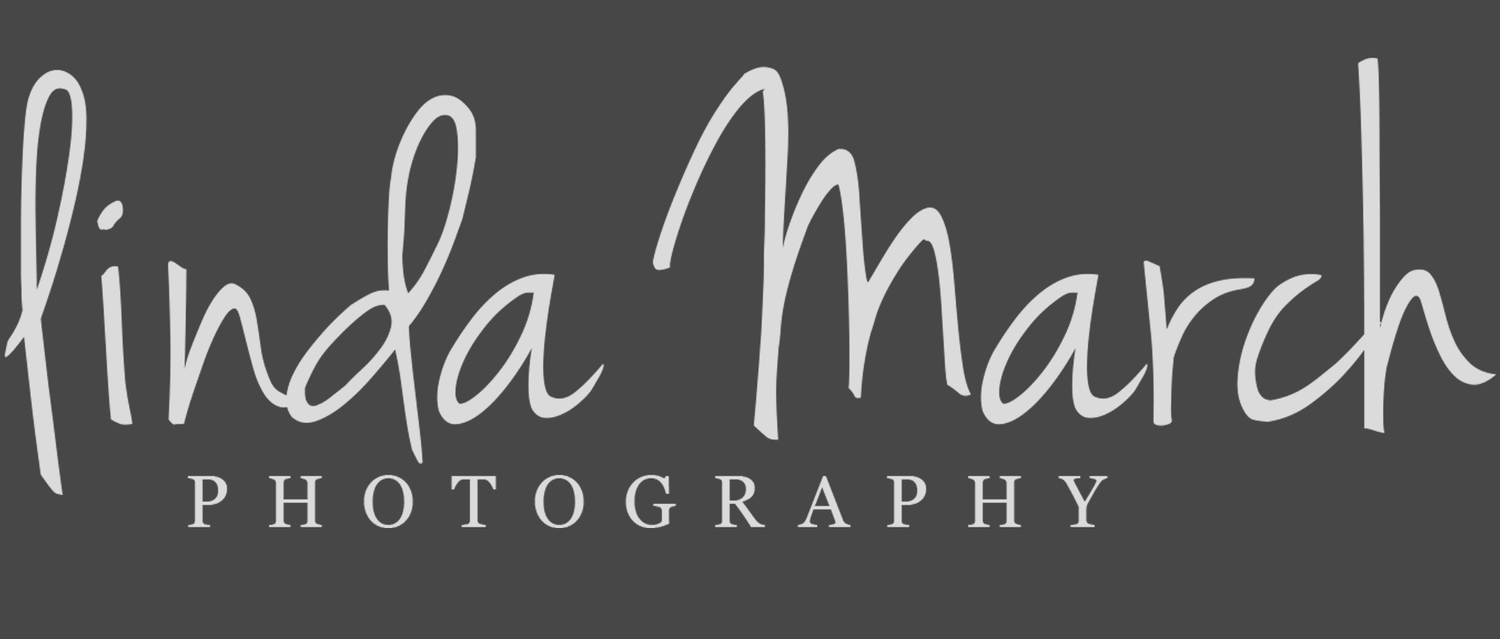 Linda March Photography Studio 61