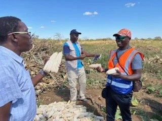 Bubi Farm