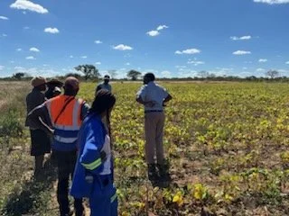 The land at Bubi Farm