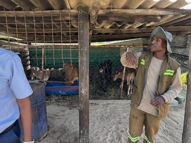 Livestock farming