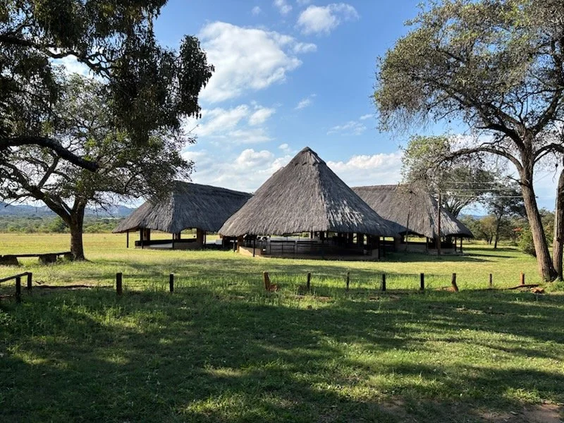 Ebenezer College and Shalom Camp