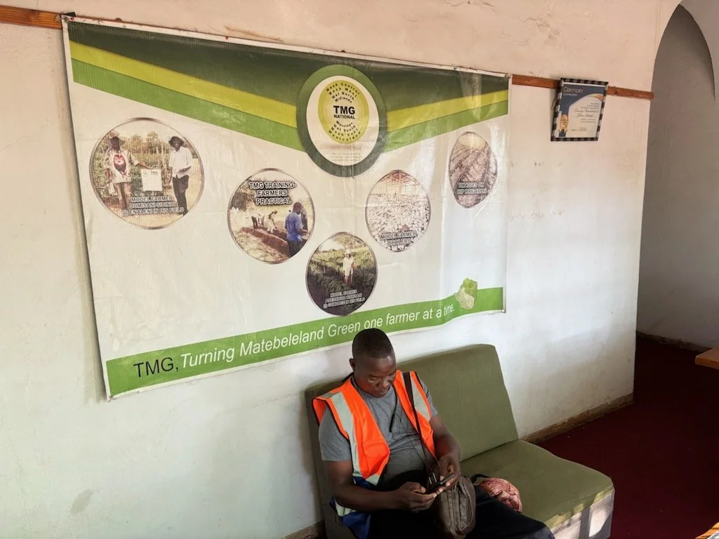 TMG Office