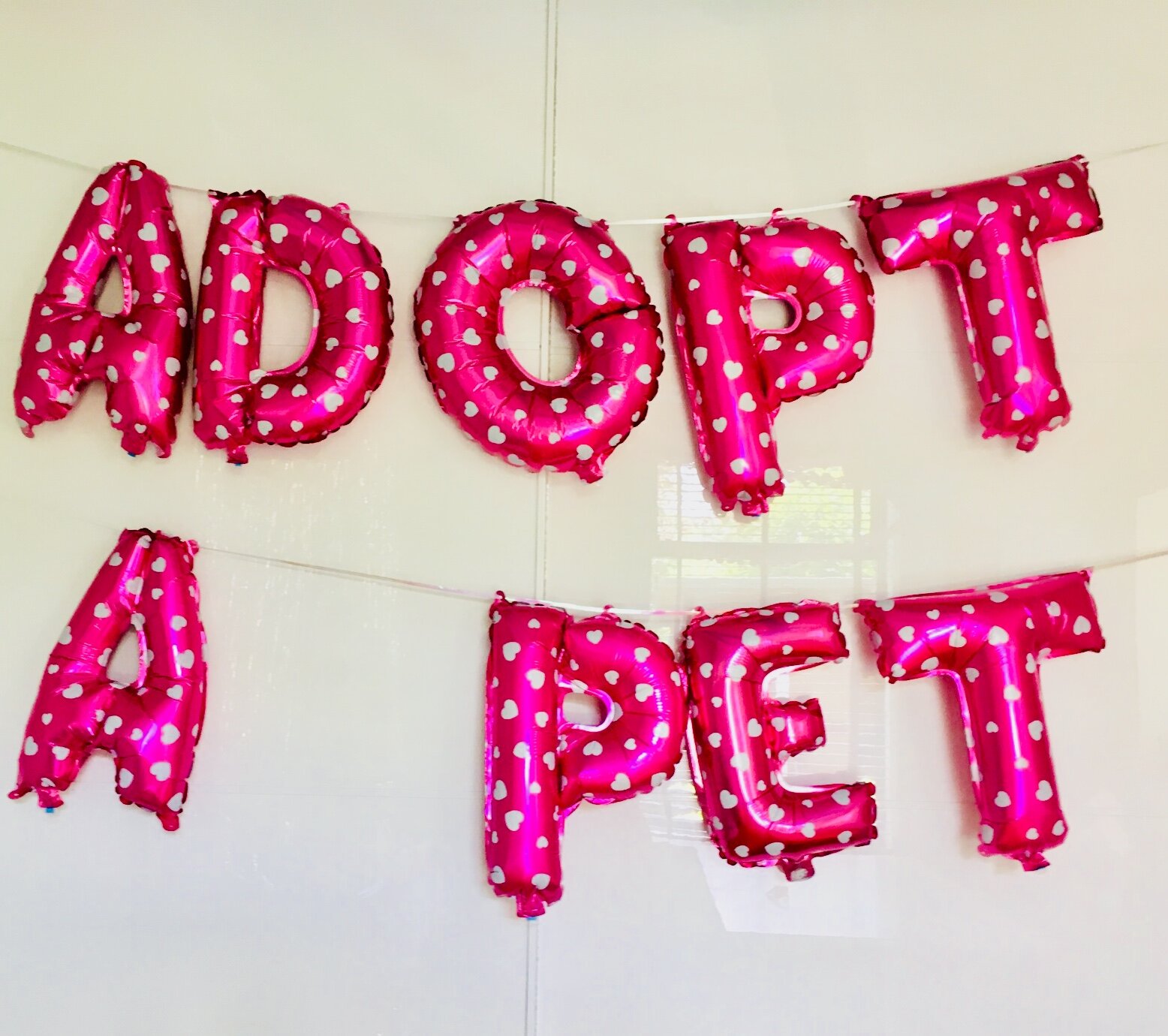 Adopt a pet party 