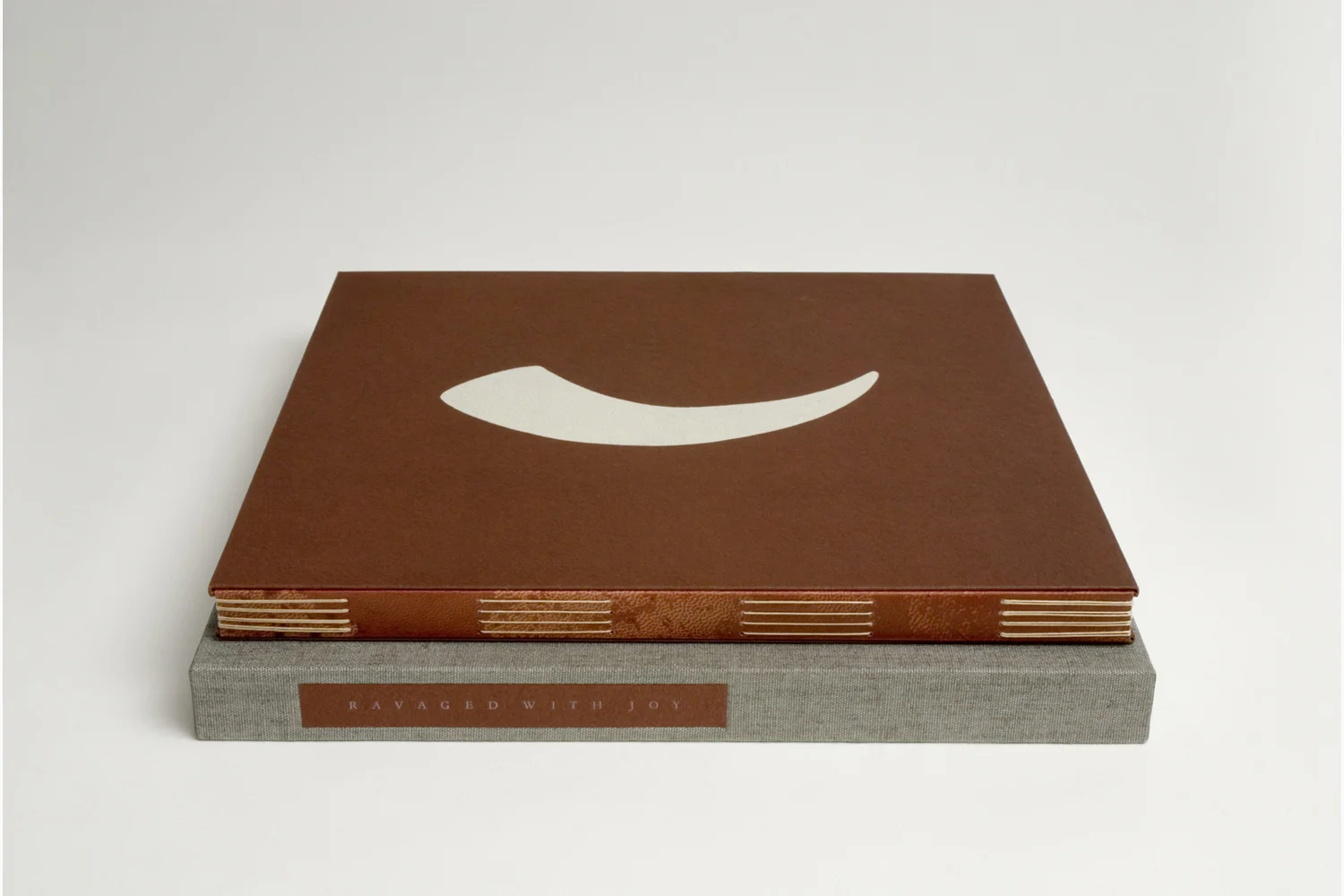 rwj_spine_cover_front.jpg